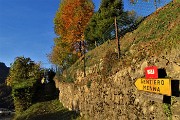 Autunnale in CIMA MENNA (2300 m) da Zorzone ad anello con discesa dal Chignol d’Arale il 25 ott. 2018- FOTOGALLERY